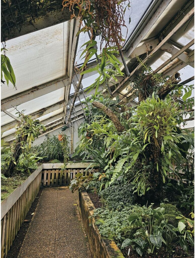 botanique en ville