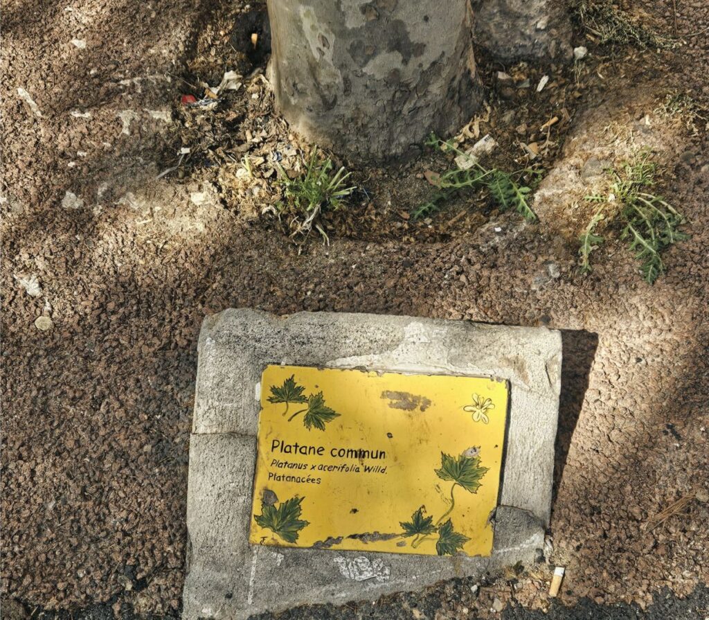 botanique en ville