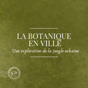 Lire la suite à propos de l’article De la jungle urbaine à la jungle végétale