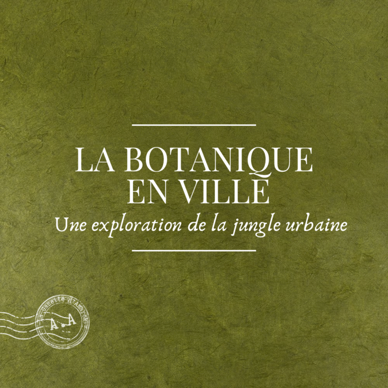 De la jungle urbaine à la jungle végétale