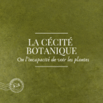 La cécité botanique : La surprenante incapacité de voir les plantes