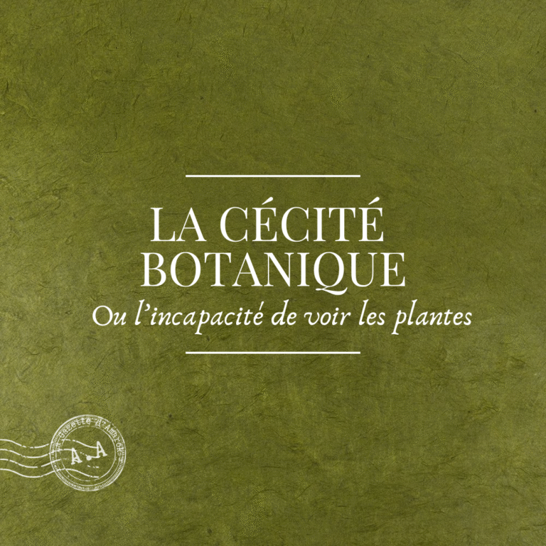 La cécité botanique : La surprenante incapacité de voir les plantes