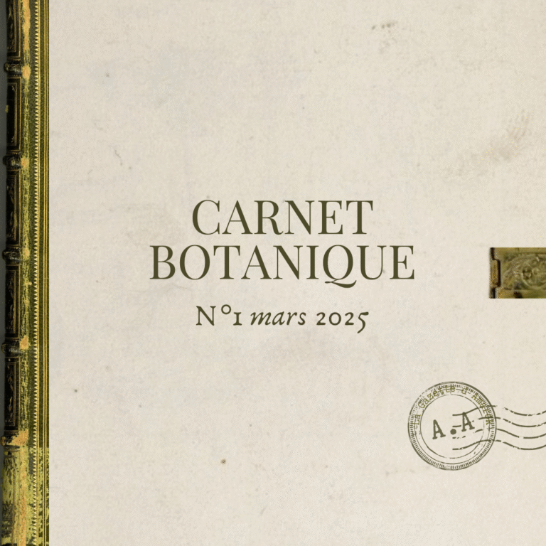 Carnet botanique n° 1 – mars 2025