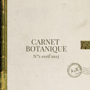 Lire la suite à propos de l’article Carnet botanique n°2 – Avril 2025