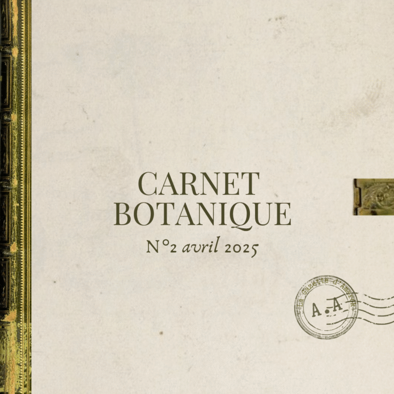 Carnet botanique n°2 – Avril 2025