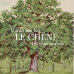 Il était une fois : le Chêne, l&rsquo;arbre royal de la forêt